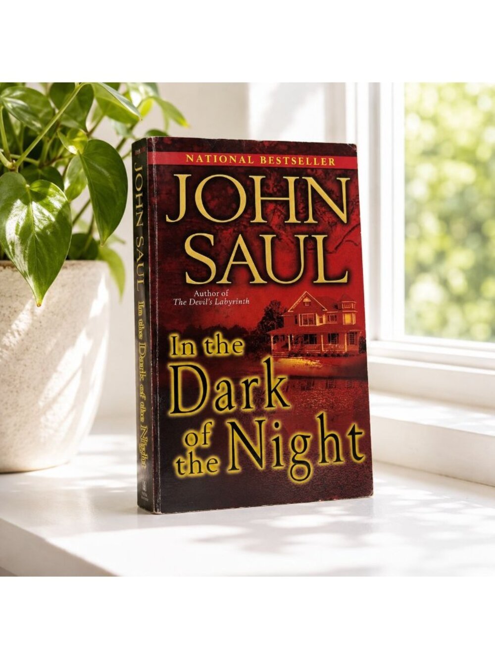 In The Dark Of The Night By John Saul Mass Market Paperback 2007 Edition
